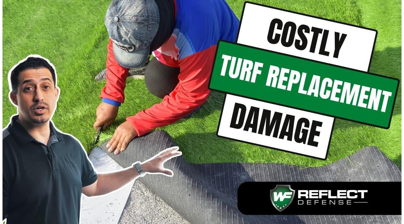 Beat the Heat: How Window Film Can Save Your Turf from Scorching Sunrays