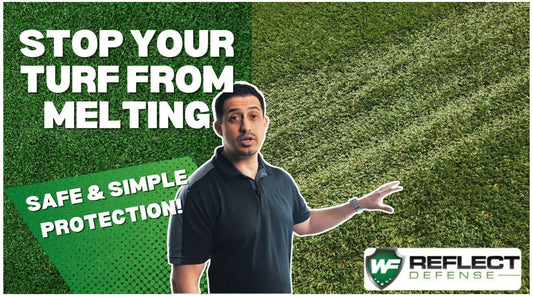 Eliminate Turf Melting: Uncover the Causes and Solutions