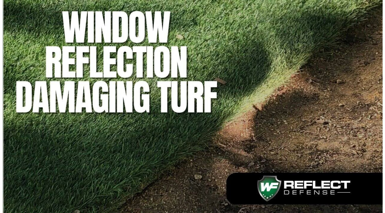 How to Protect Your Turf and Siding from the Sun's Harmful Rays with Turf Shield